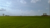 groenveld